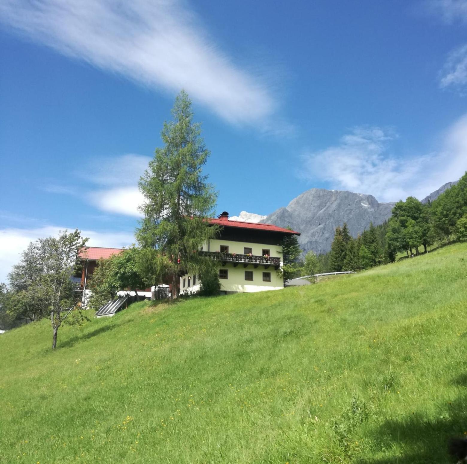 Molteraugut Lejlighed Mühlbach am Hochkönig Eksteriør billede